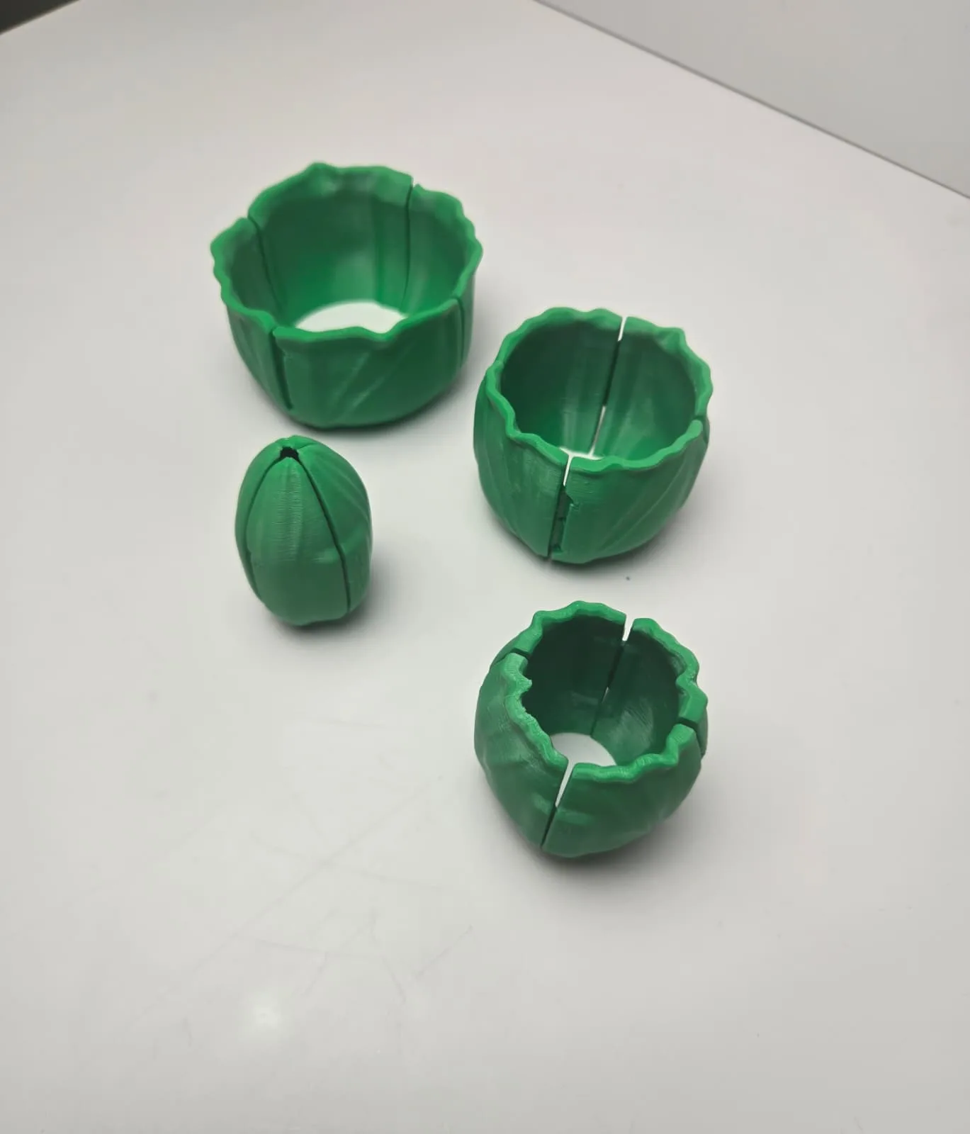 Flexy Lettuce, photo 2