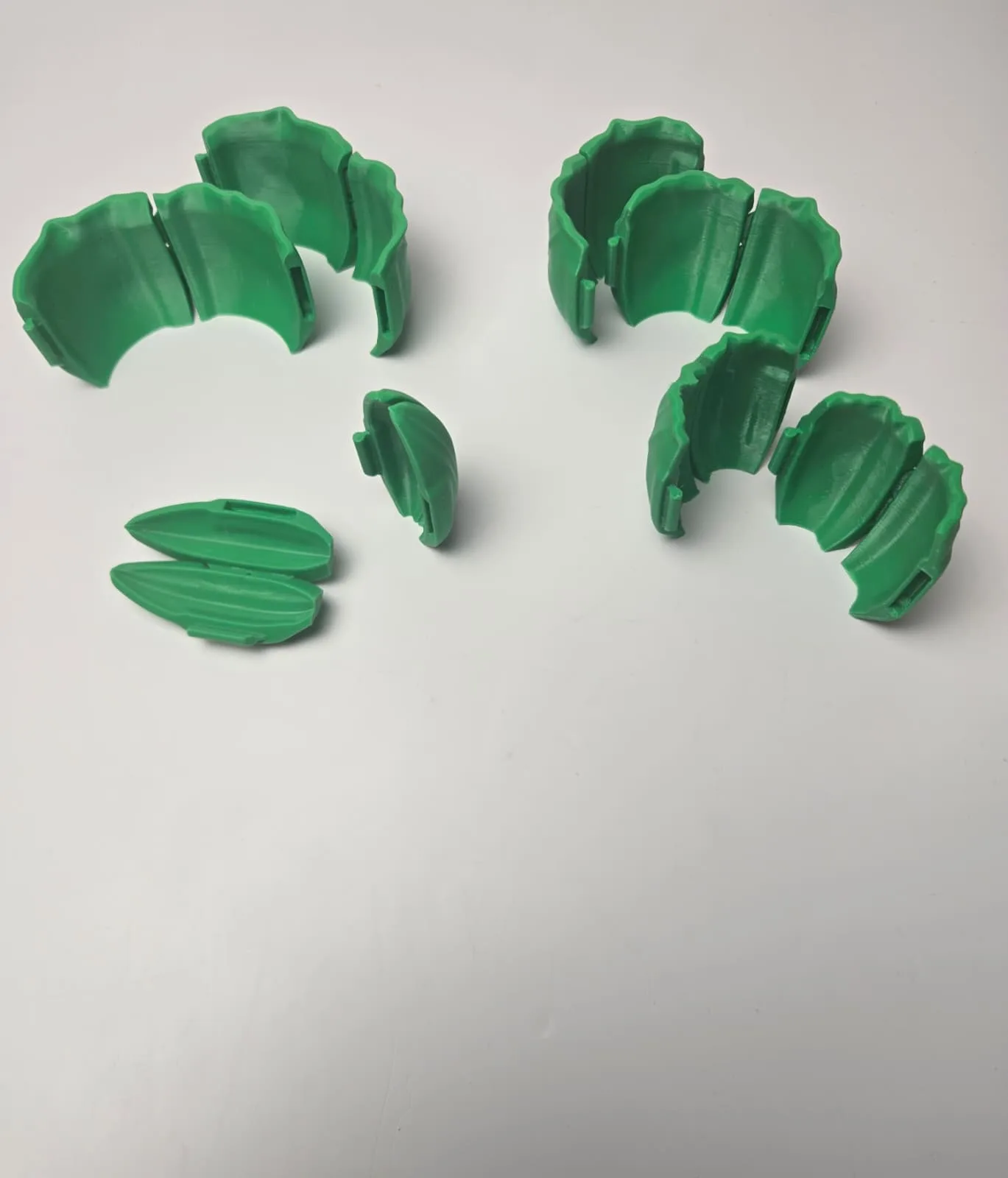 Flexy Lettuce, photo 4