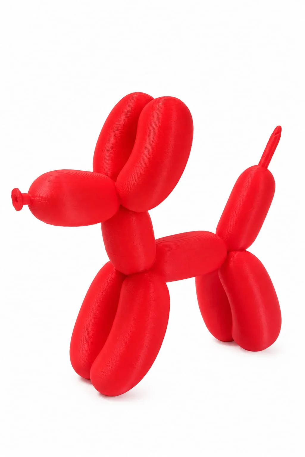 Floating Dog, photo 3