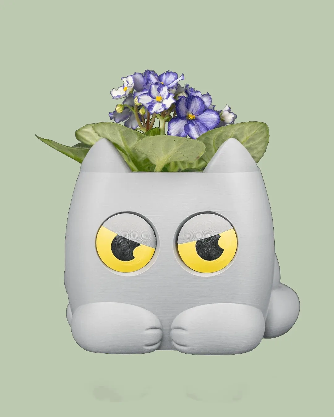 Grumpy Kitty - Planter