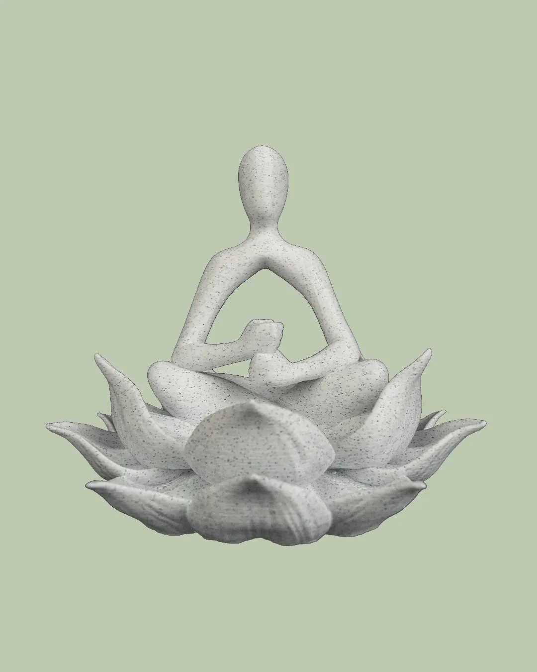 Lotus Keeper – Planter, photo 5