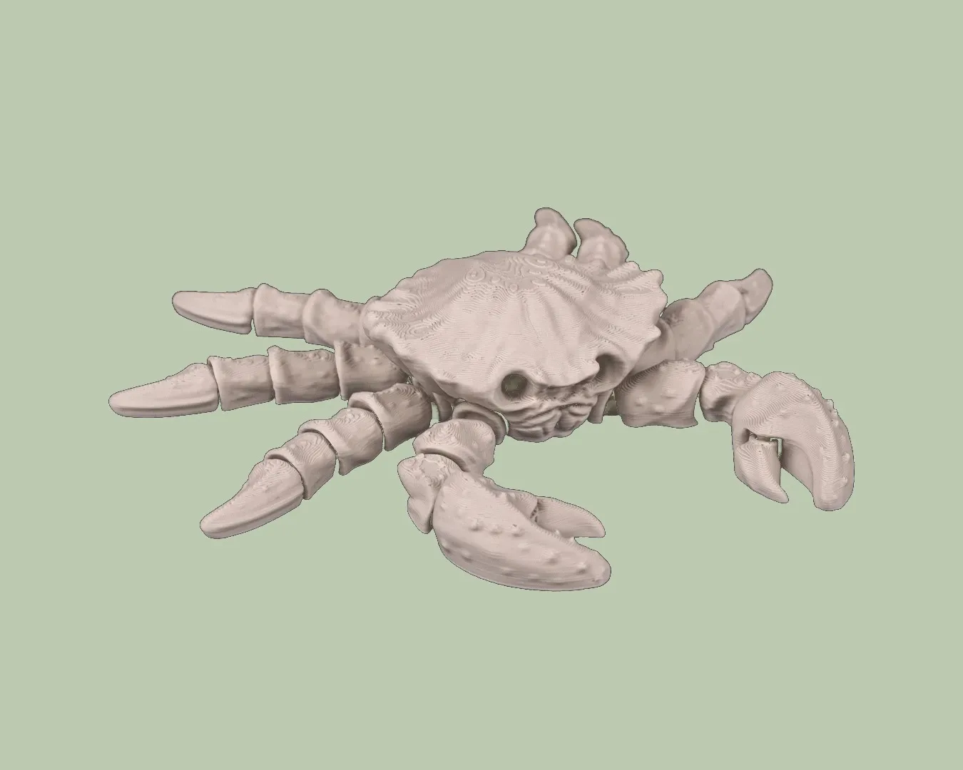 Skeleton Crab, photo 2
