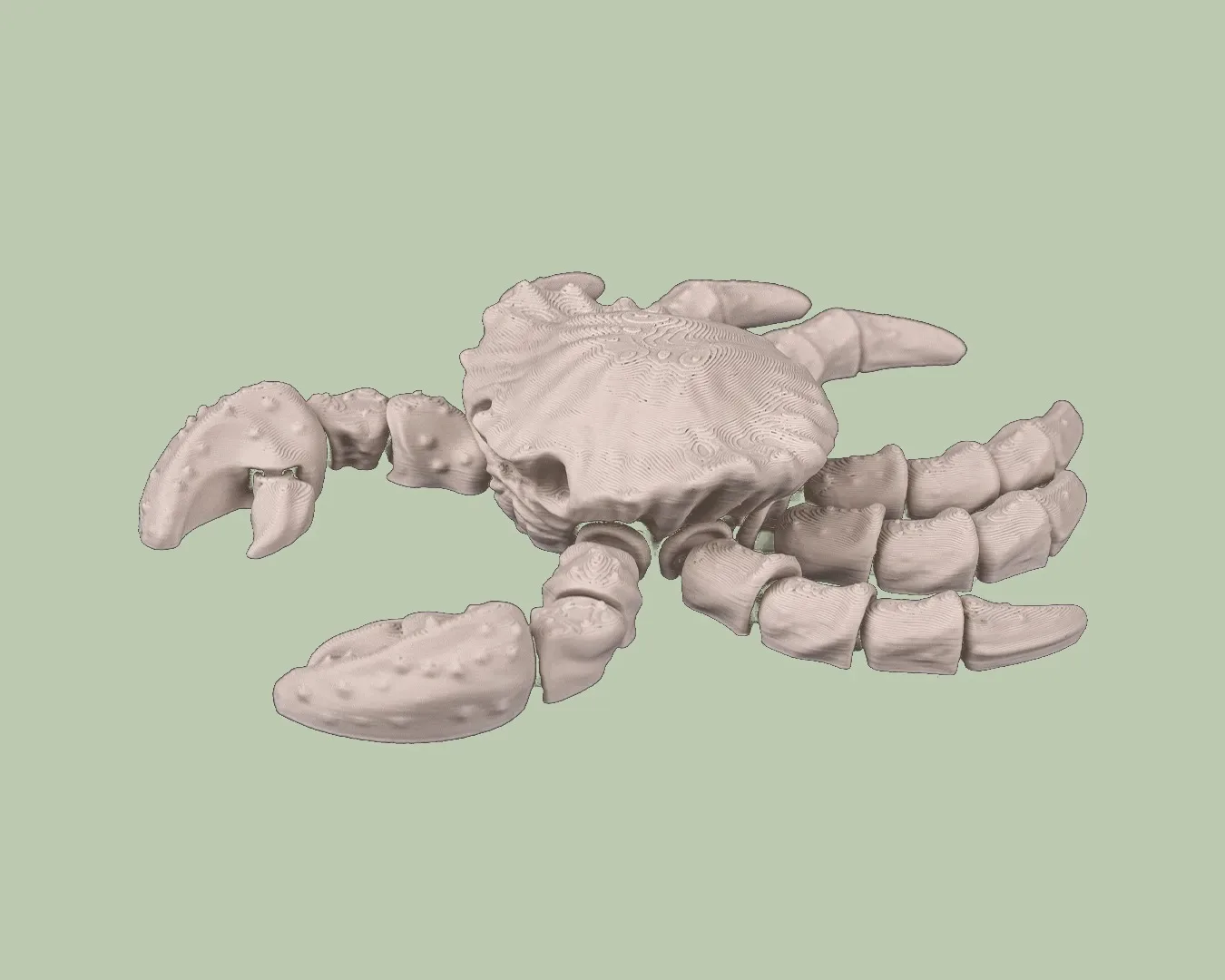 Skeleton Crab, photo 3