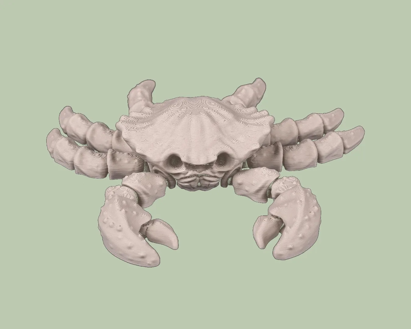 Skeleton Crab, photo 4