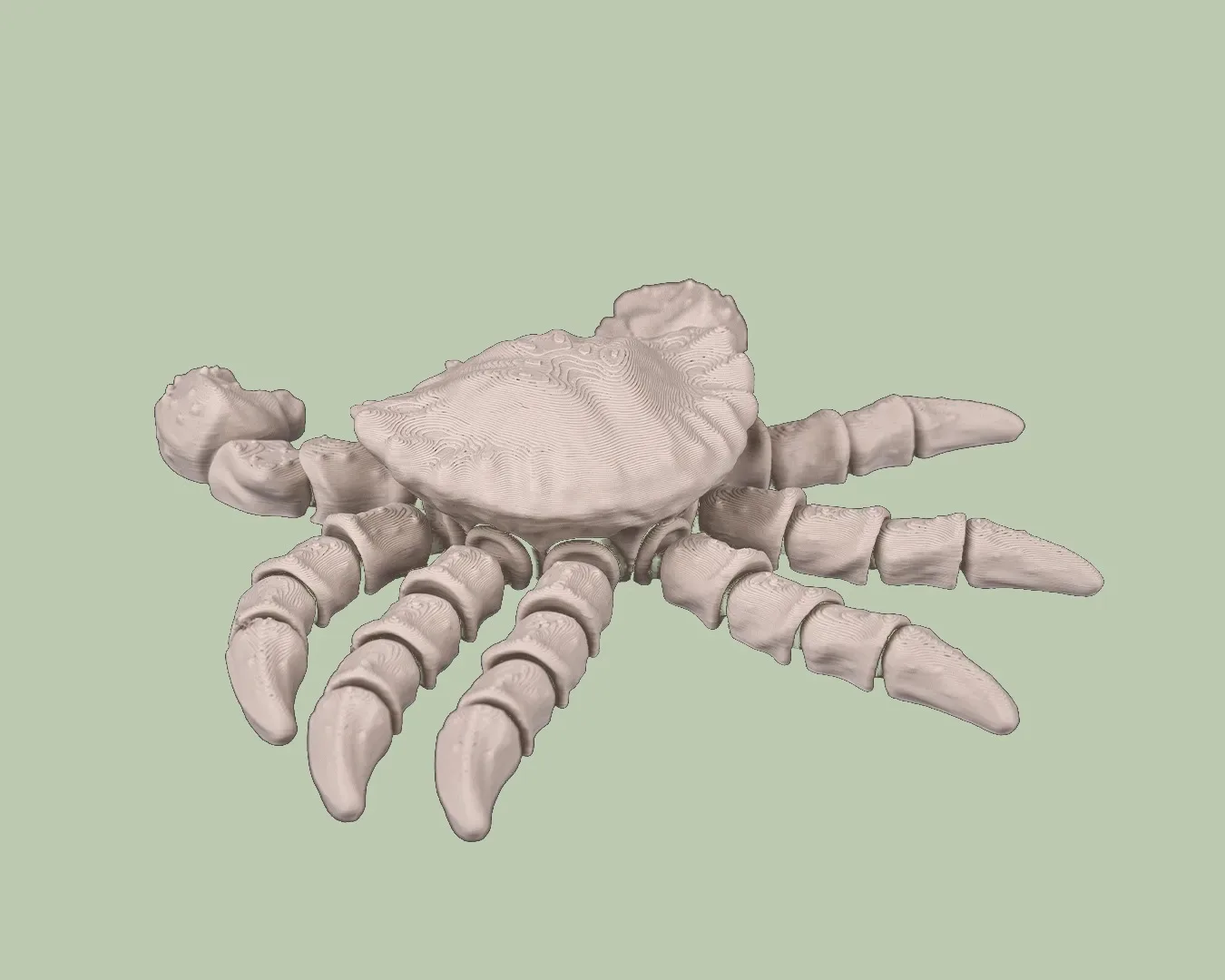 Skeleton Crab, photo 5