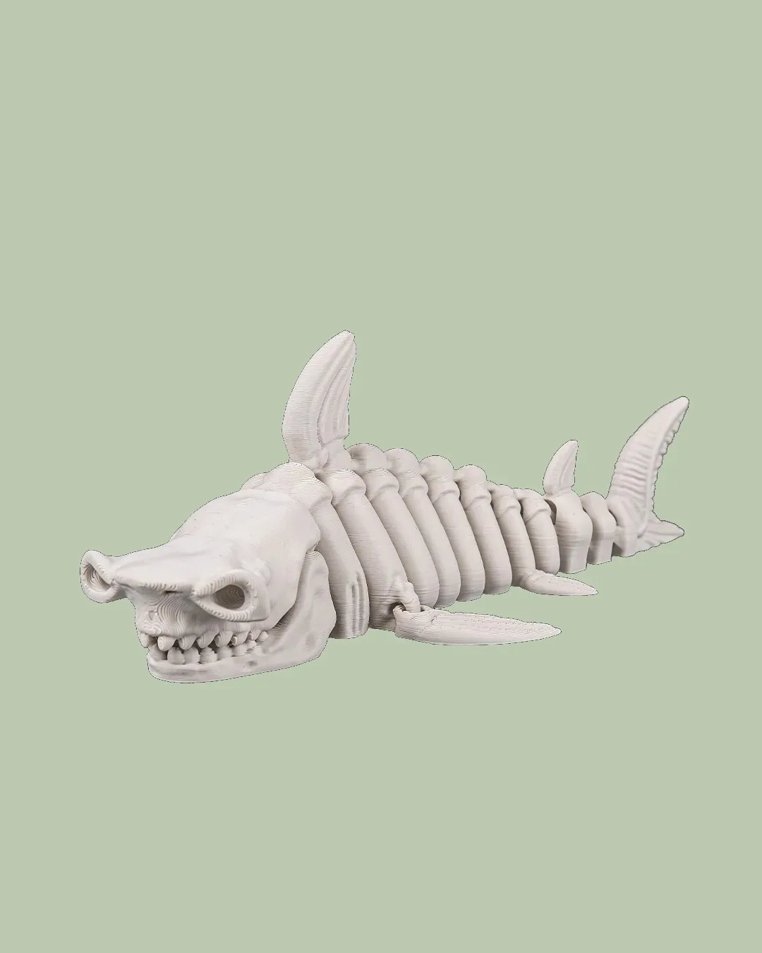 Skeleton Shark