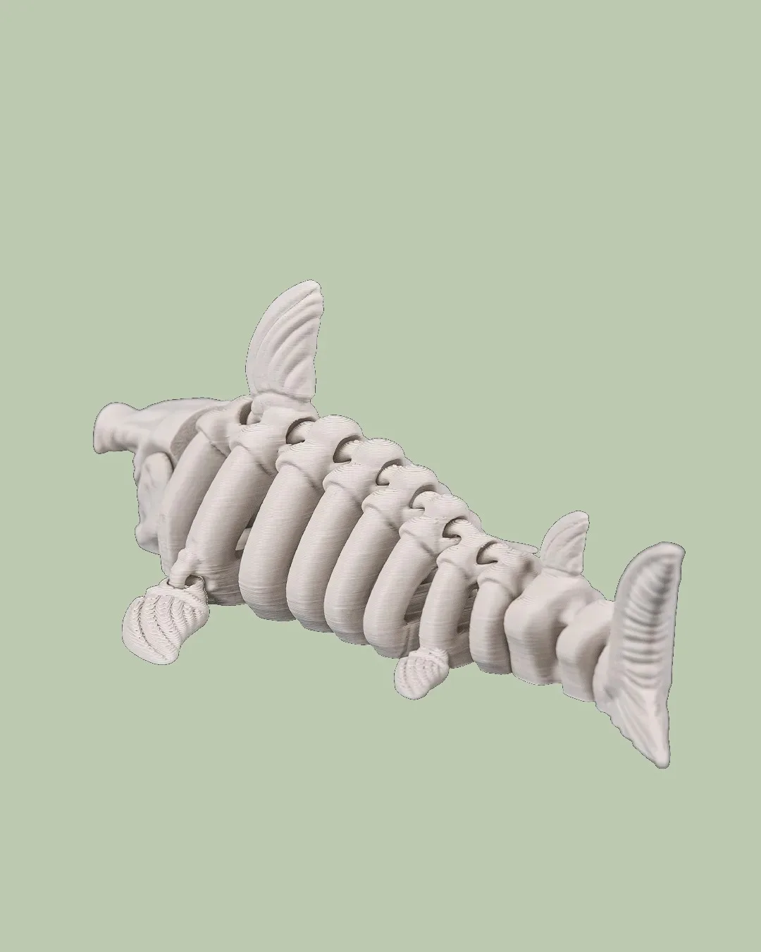 Skeleton Shark, photo 3