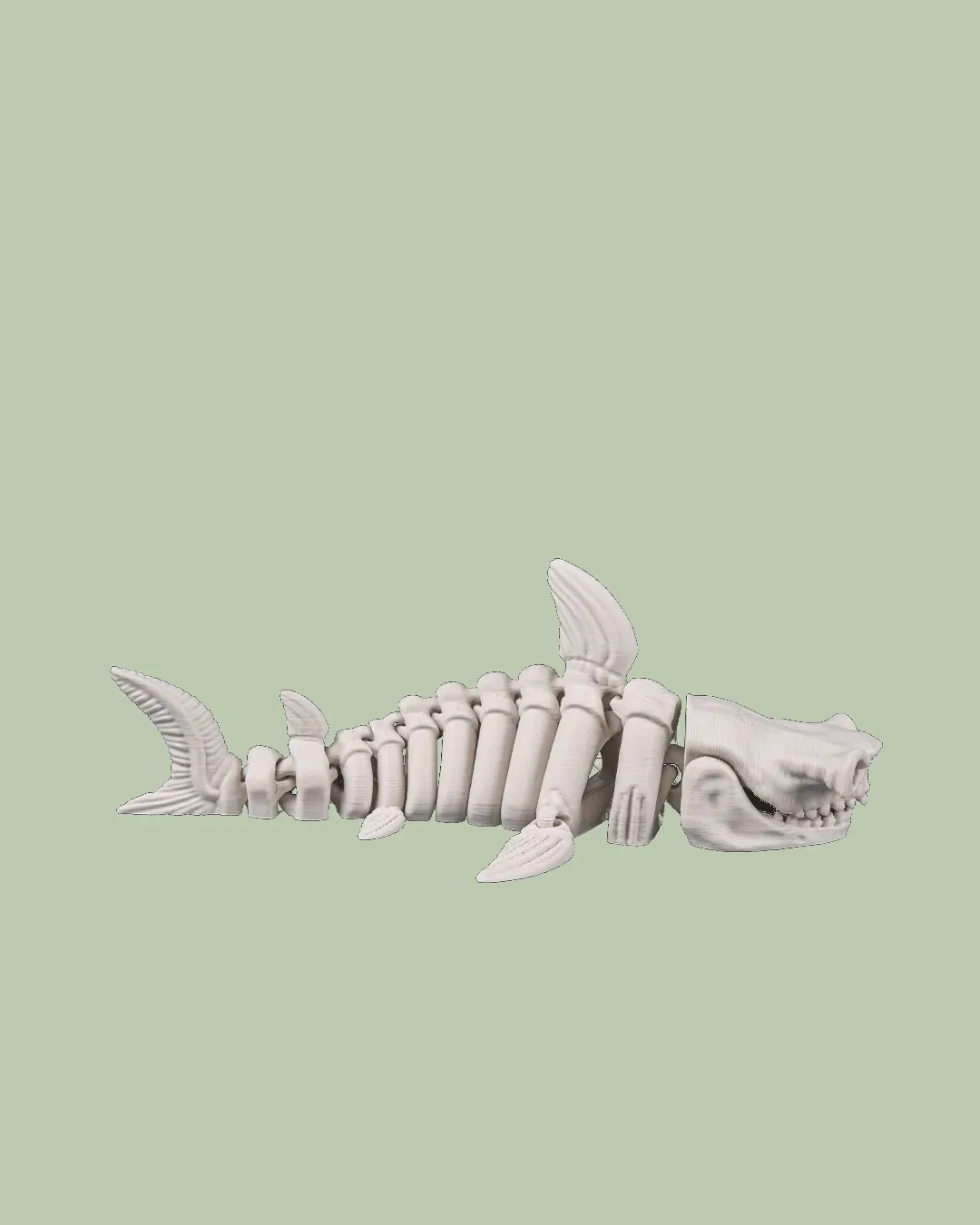 Skeleton Shark, photo 5