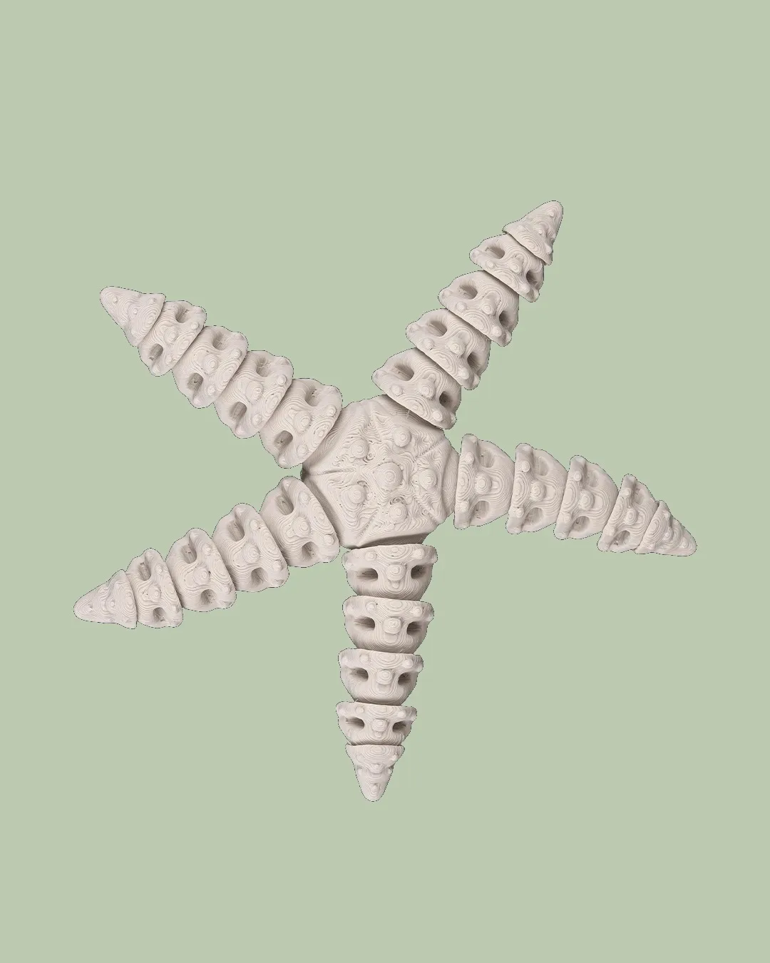 Skeleton Starfish