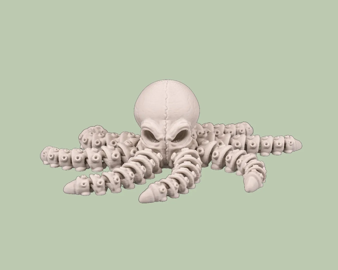 Skeleton Octopus
