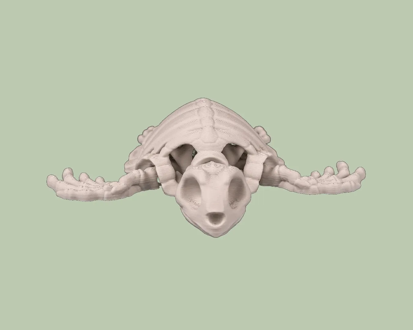 Skeleton Turtle, photo 2